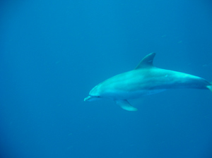 Ponta do Ouro Mozambique