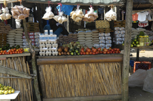 Ponta do Ouro Mozambique